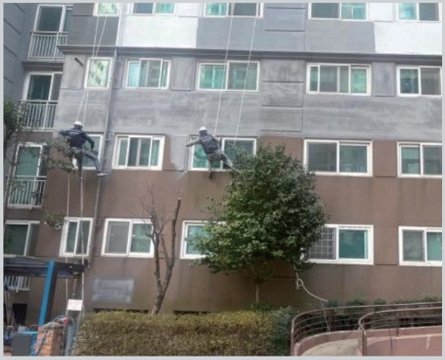 사업영역