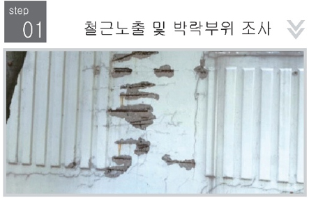 사업영역