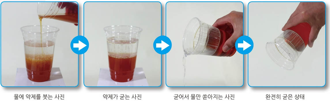 사업영역